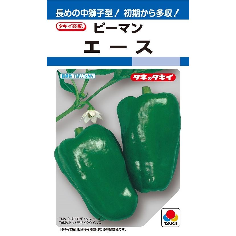 エースピーマン 60粒 ピーマン種 タキイのタネ 野菜の種 518 吉谷農芸yahoo 店 通販 Yahoo ショッピング
