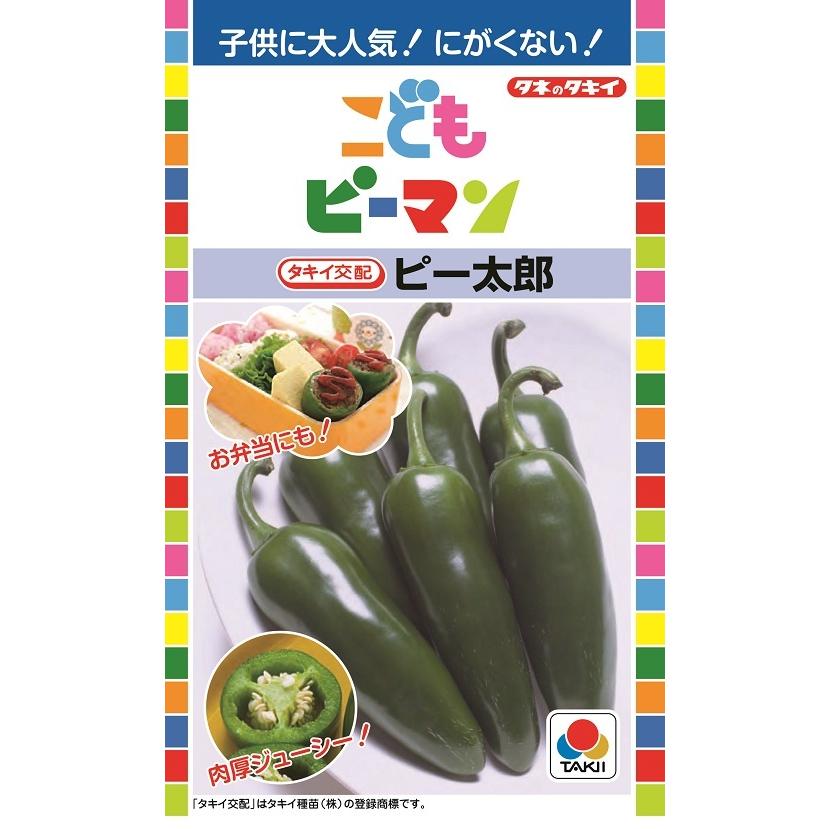 ピー太郎 こどもピーマン 27粒 【ピーマン種】【タキイのタネ】【野菜