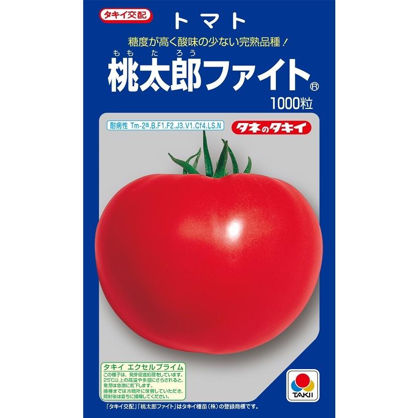 桃太郎ファイト　大玉トマト種子　1000粒　【トマト種】【タキイのタネ】【野菜の種】