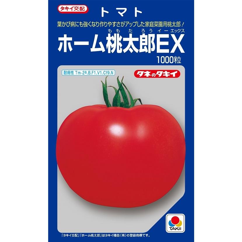 ホーム桃太郎EX トマト 1000粒 【トマト種】【タキイのタネ】【野菜の
