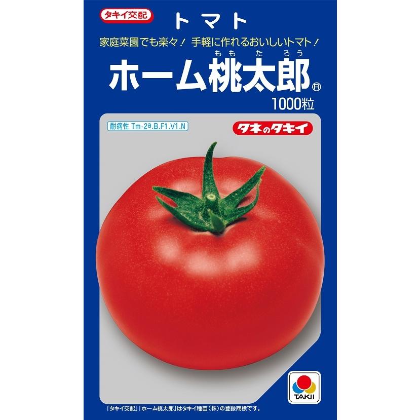 ホーム桃太郎 トマト 1000粒 【トマト種】【タキイのタネ】【野菜の種