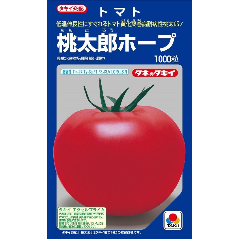 桃太郎ホープ　大玉トマト種子　1000粒　農水省登録品種(品種名　TTM105)　【トマト種】【タキイのタネ】【野菜の種】