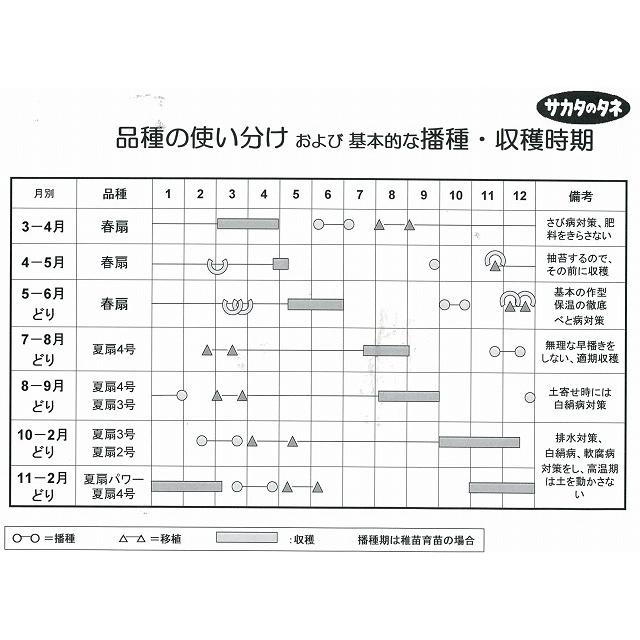 春扇　1dl　【根深ネギ種】【サカタのタネ】【野菜の種】