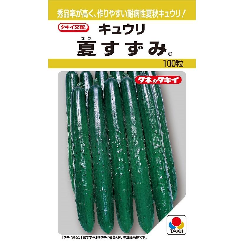 夏すずみ キュウリ 100粒 【タキイのタネ】【野菜の種】 : 吉谷農芸