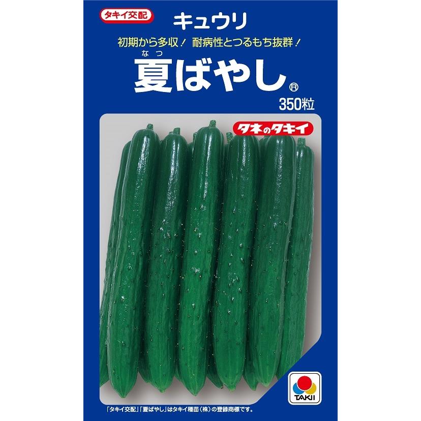 夏ばやし　キュウリ　350粒　【タキイのタネ】【野菜の種】