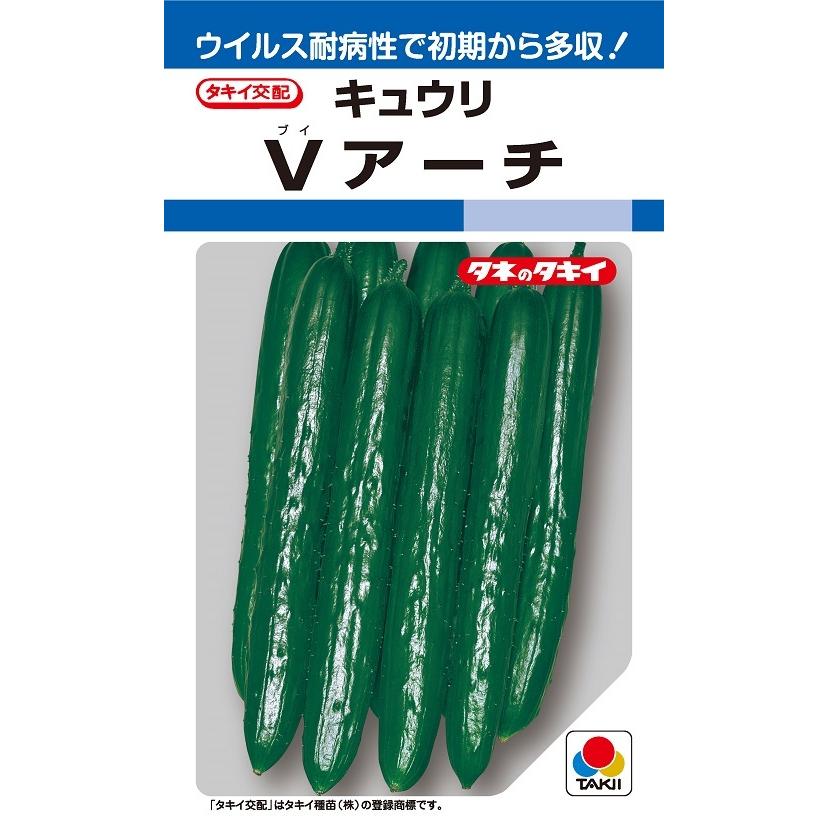 Vアーチ キュウリ 10粒 【タキイのタネ】【野菜の種】 : 吉谷農芸Yahoo