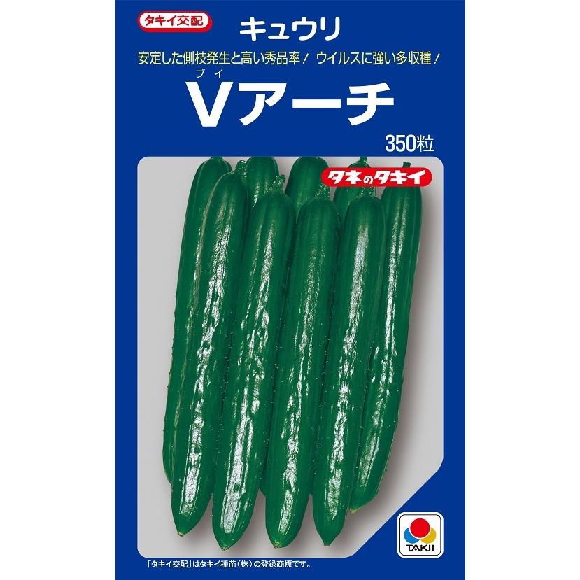 Vアーチ　キュウリ　350粒　【タキイのタネ】【野菜の種】｜yoshitaninougei