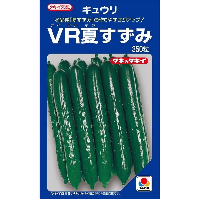 VR夏すずみ　キュウリ　350粒　【タキイのタネ】【野菜の種】