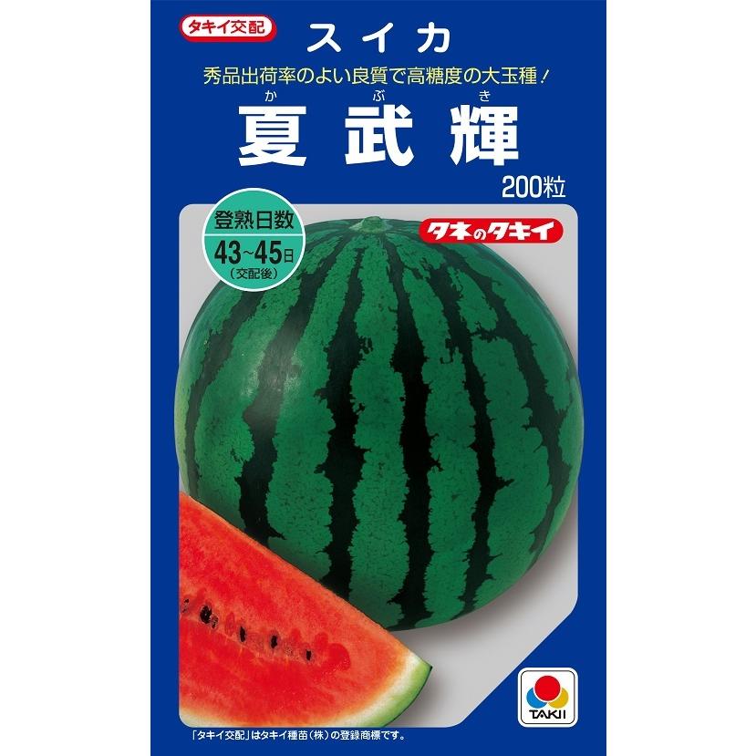 夏武輝 200粒 スイカ種子【西瓜種】【タキイのタネ】【野菜の種