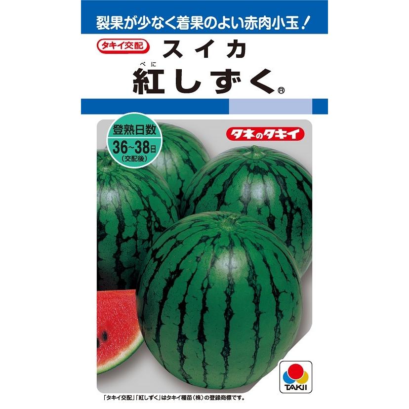 紅しずく 8粒 スイカ種子【西瓜種】【タキイのタネ】【野菜の種