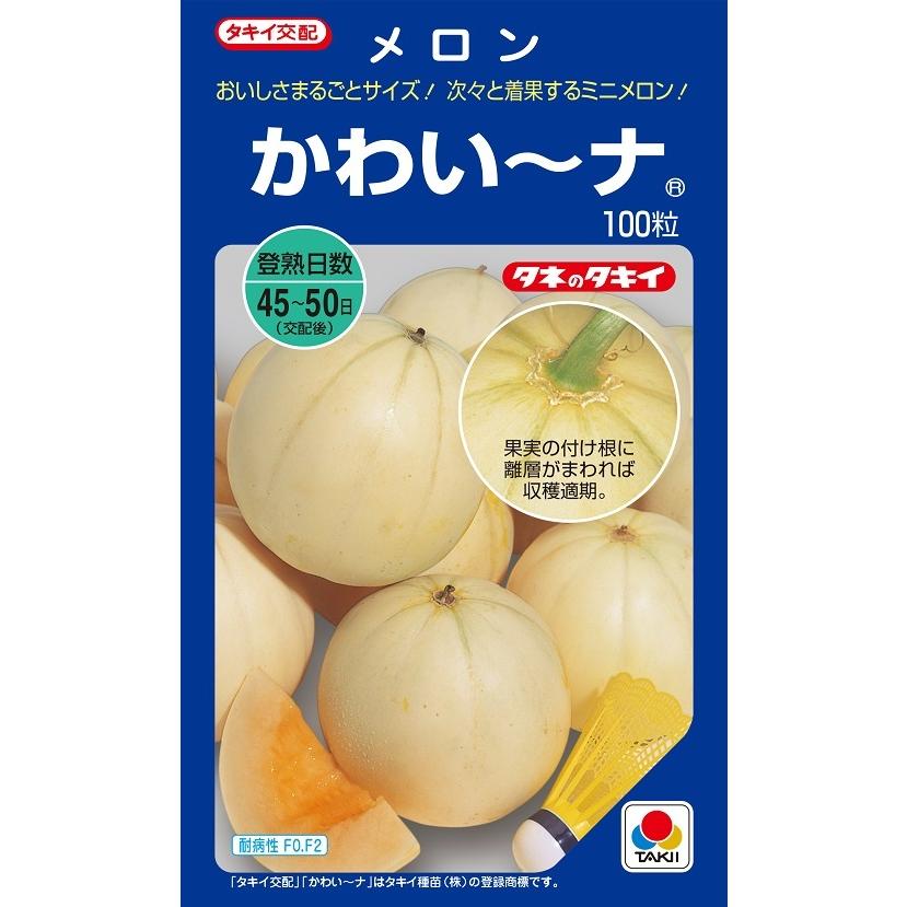 かわい〜な 100粒 メロン種子 【タキイのタネ】【野菜の種】 : 吉谷
