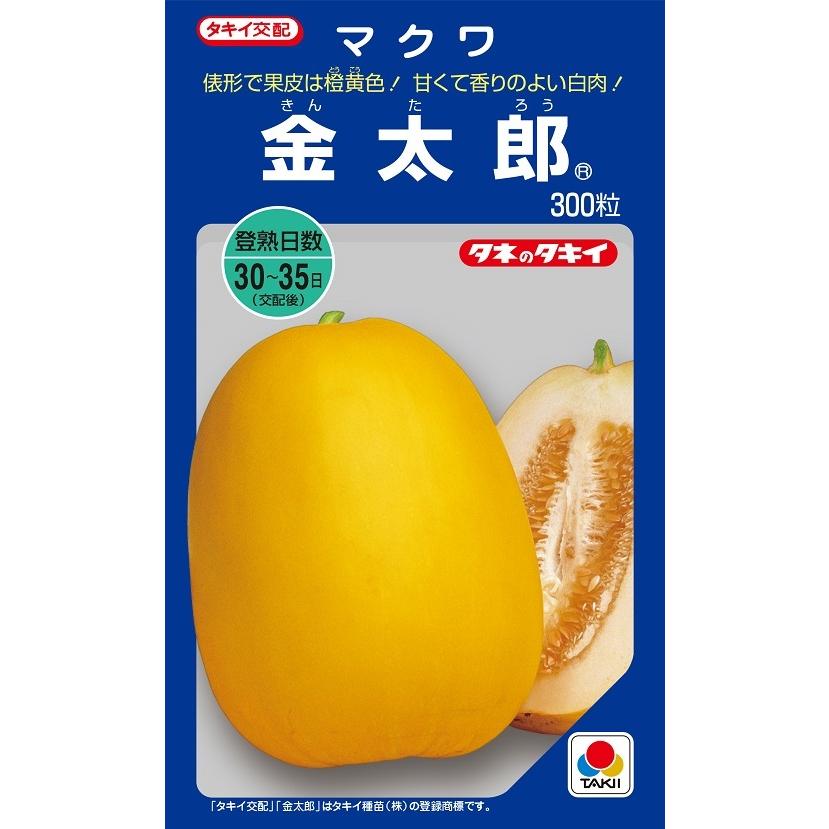 金太郎 300粒 メロン（マクワウリ）種子 【タキイのタネ】【野菜の種