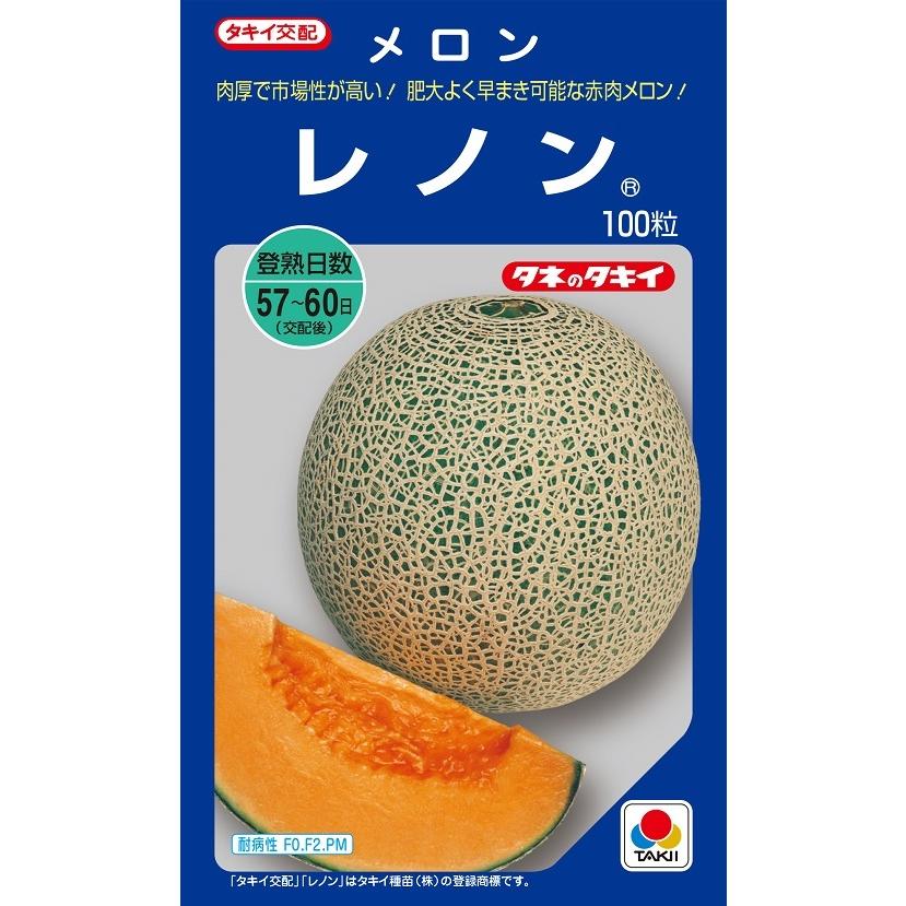 メロン 2026年 先行予約】石川 アールスメロン 1.3kg×1個 メロン めろん