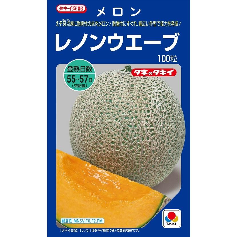 レノンウエーブ 100粒 メロン種子 【タキイのタネ】【野菜の種
