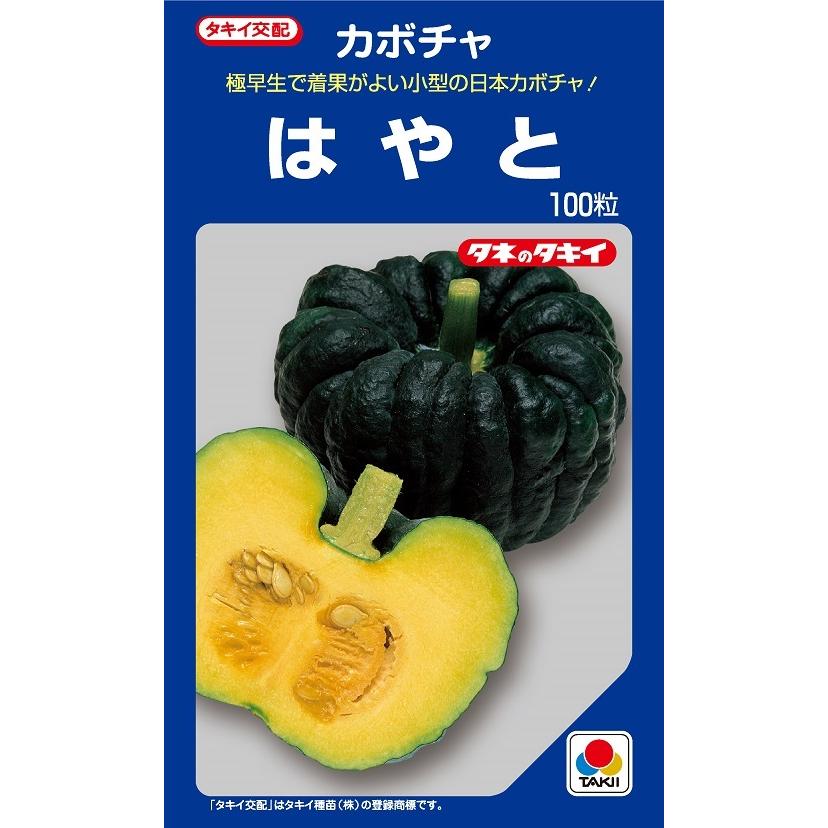 はやと 100粒 カボチャ種子 南瓜の種 タキイのタネ 野菜の種 608 吉谷農芸yahoo 店 通販 Yahoo ショッピング