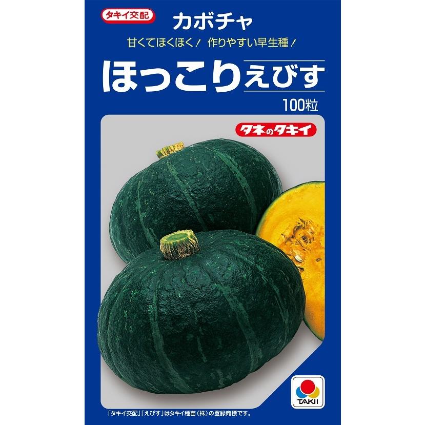 ほっこりえびす 100粒 カボチャ種子 【南瓜の種】【タキイのタネ