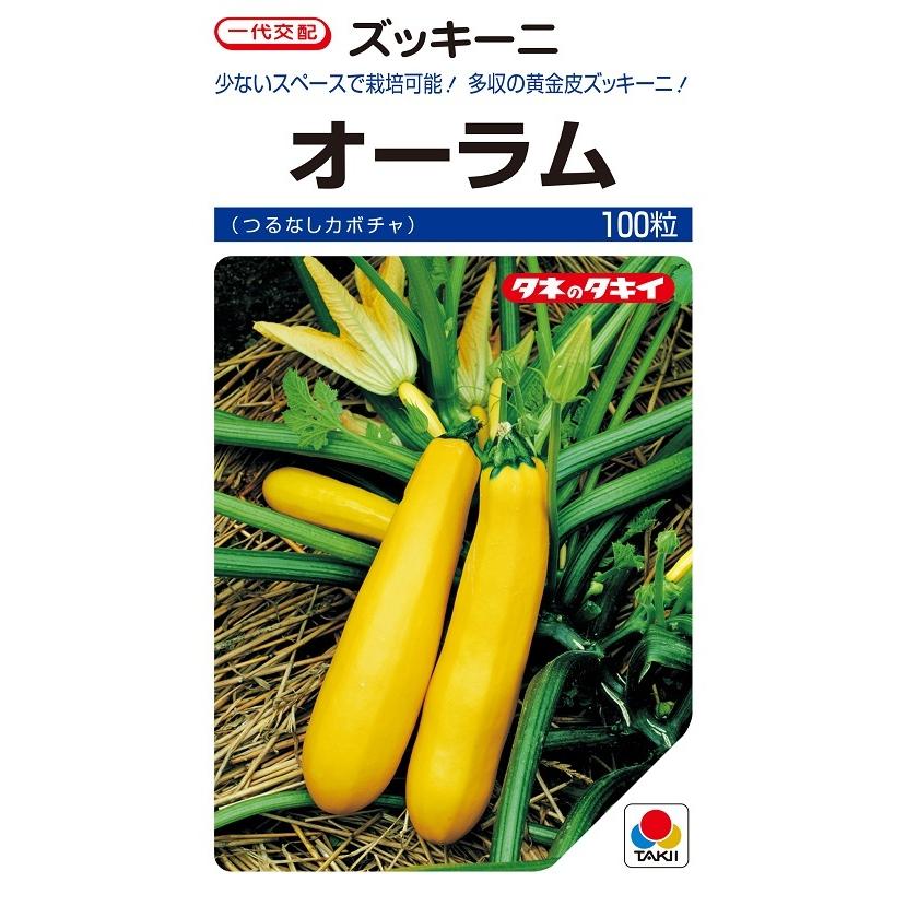 ズッキーニ オーラムEX 100粒 一代交配ズッキーニ種子 【南瓜の種