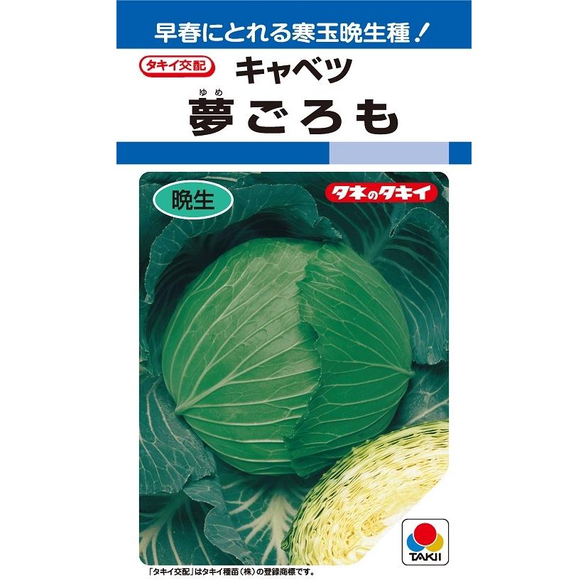 夢ごろも キャベツ種子 1.1ml 晩生種 早春どり 寒玉系【タキイ種苗