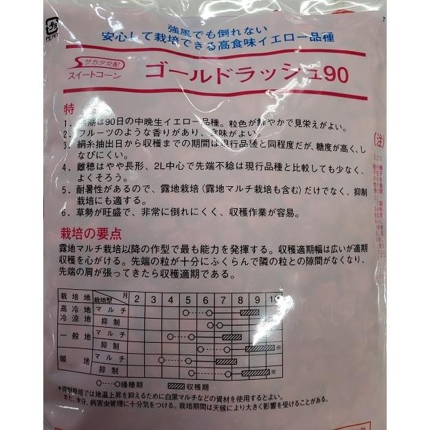 ゴールドラッシュ90 スイートコーン種子 2000粒【スイートコーン種