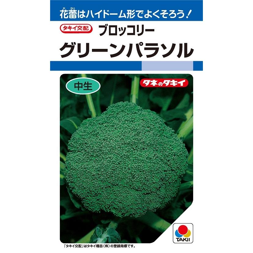 野菜種 ブロッコリー・グリーンパラソル DF（1.3ml160粒）【タキイの