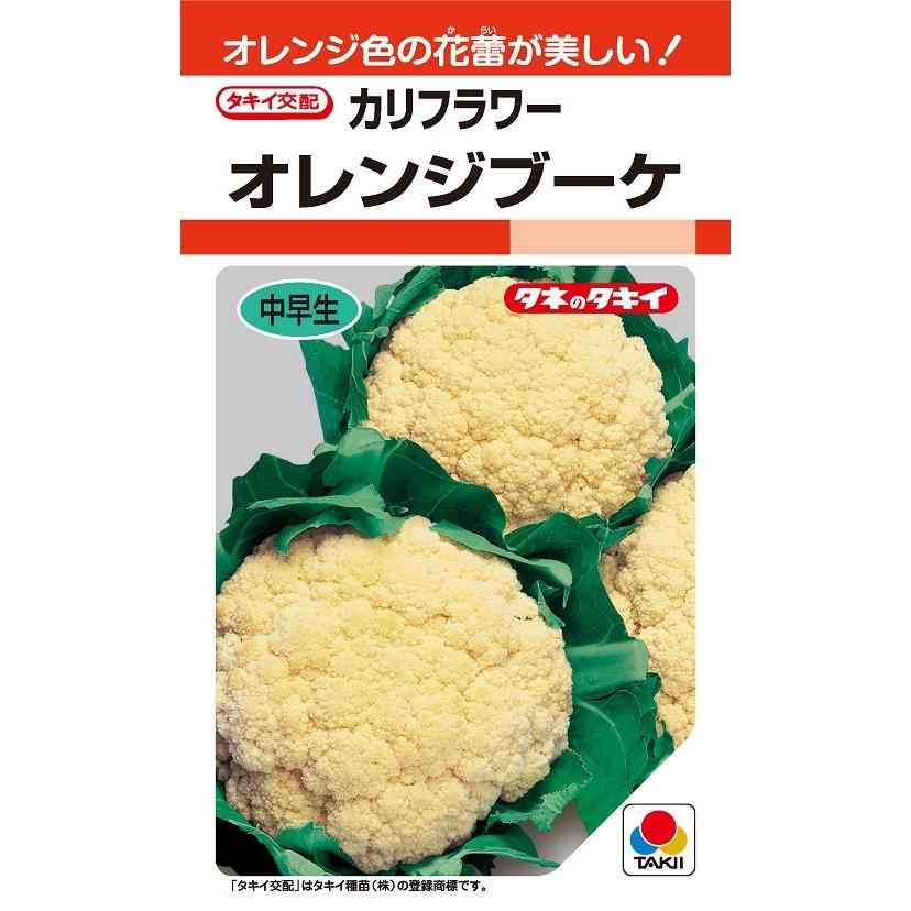 野菜種 カリフラワー・オレンジブーケ RF（0.5ml）【タキイのタネ