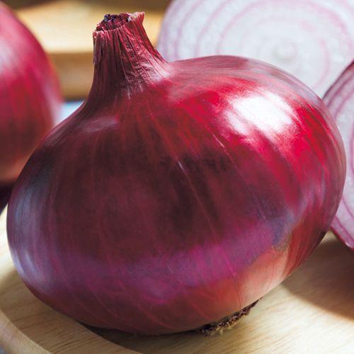 公式通販 小袋 吉谷農芸yahoo ｒｆ 赤タマネギ 1 8ｍｌ 赤玉葱 ケルたまルビー 店野菜種子 根菜 豆類 もやし