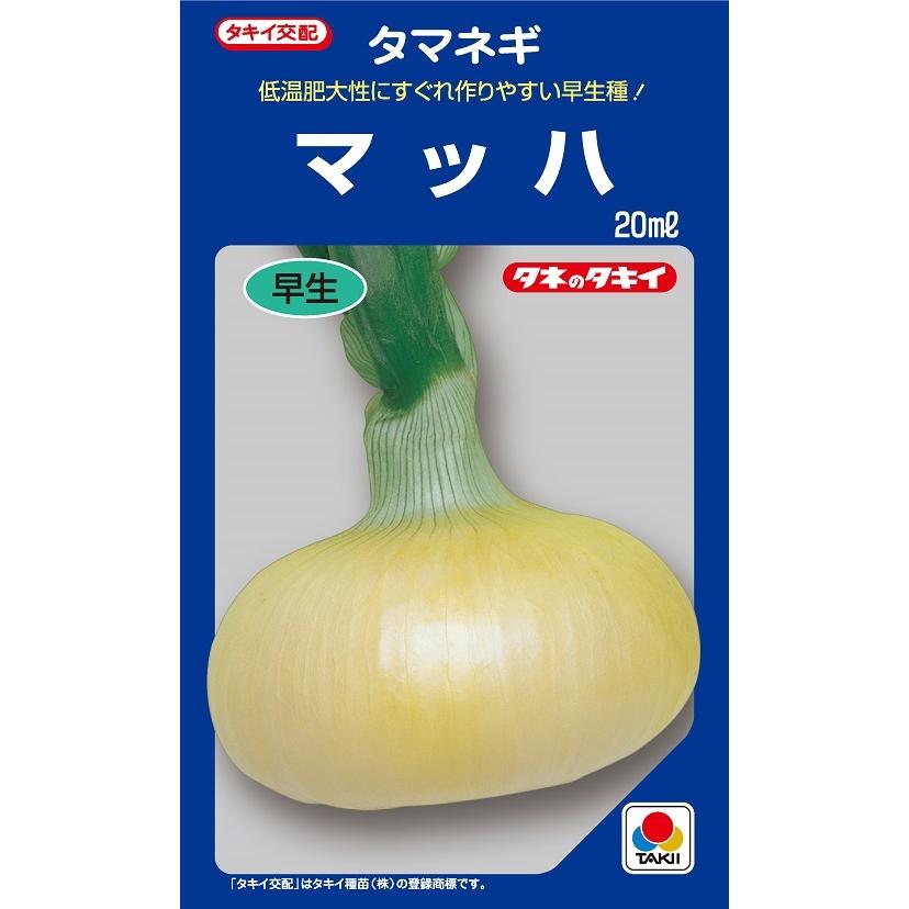 野菜種子 タマネギ マッハ 20ml【タキイ種苗】【野菜種子】 : 吉谷農芸