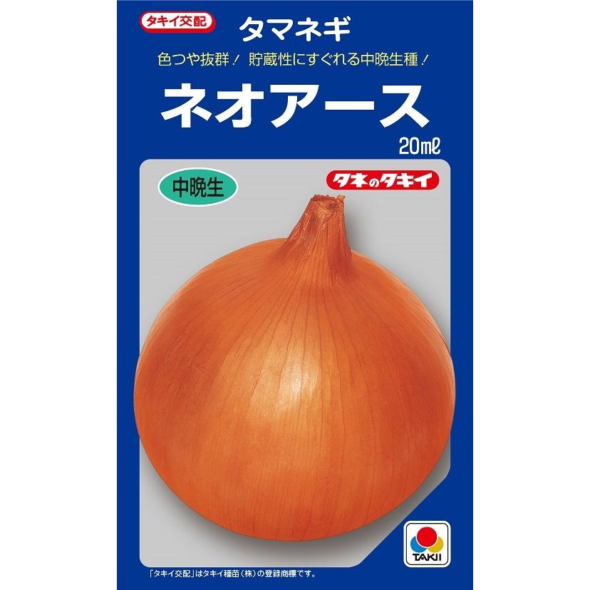 野菜種子 タマネギ ネオアース 20ml【タキイ種苗】【野菜種子】 : 吉谷