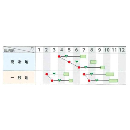 SK9-099 ブロッコリー種子 ペレット5000粒 【野菜種子】【サカタ SK9-099 ブロッコリー種子 ペレット5000粒 【野菜種子】【サカタ