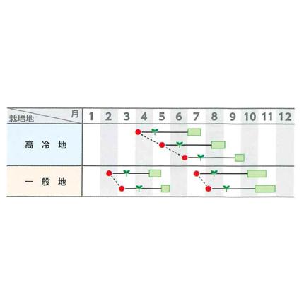 SK9-099 ブロッコリー種子 ペレット5000粒 【野菜種子】【サカタのタネ