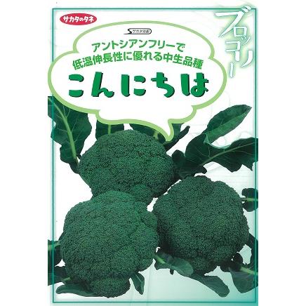 こんにちは ブロッコリー種子 ペレット5000粒【サカタのタネ