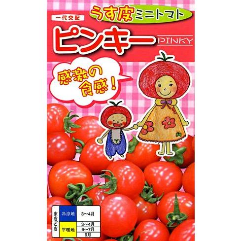薄皮ミニトマト ピンキー 15粒【家庭菜園 直売所向き】【ナント交配