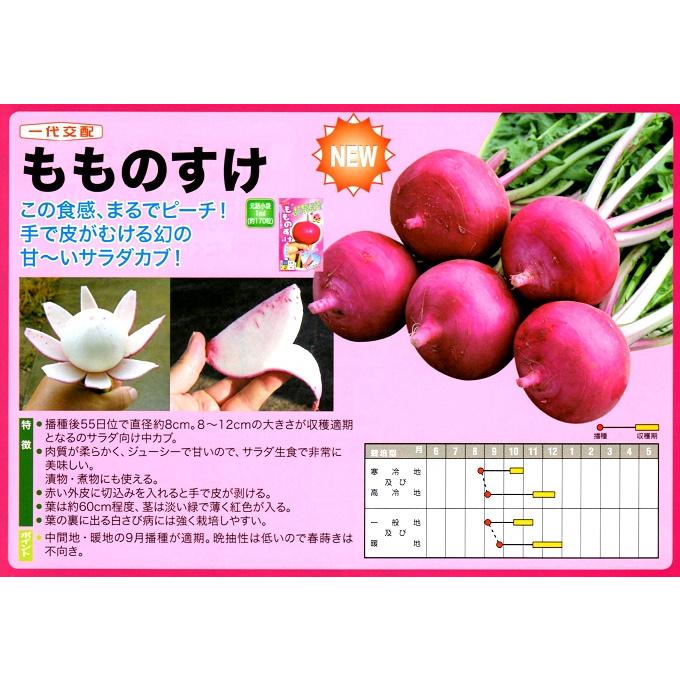 もものすけ サラダカブ種子 1ml（約200粒）【野菜種子】 【ナント