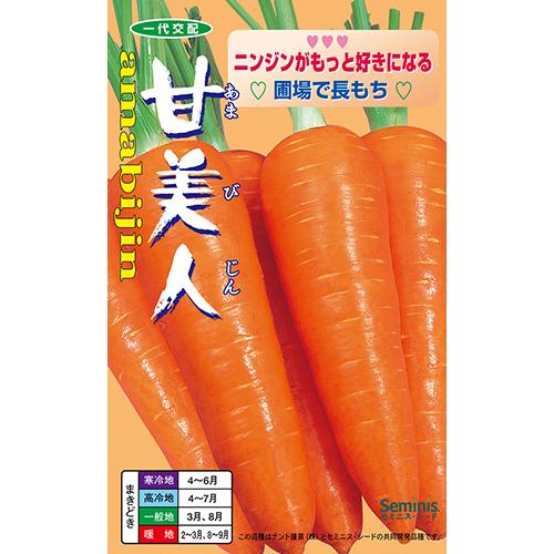 今しか食べられないよ　甘〜い　金時人参　17 甘みと栄養たっぷり！】 真っ赤な人参 「紅天神」 10kg?/ にんじん