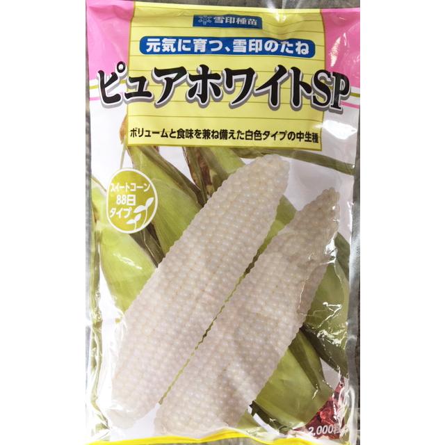 ピュアホワイトSP トウモロコシ種子 200粒 【雪印種苗】【白