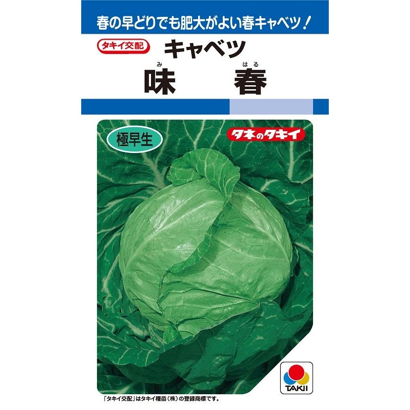 味春 キャベツ種子 1.2ml 極早生種 良質系【タキイ種苗】【極早生