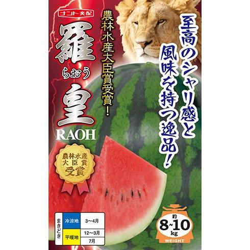 羅王 200粒 大玉スイカ種子 【西瓜種】【ナント交配】【野菜の種