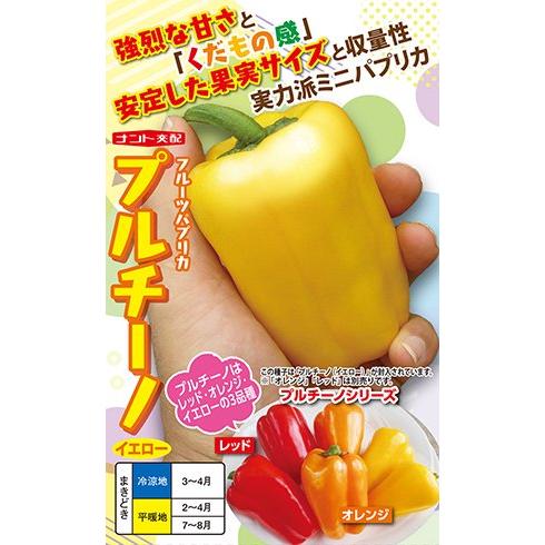 プルチーノイエロー 100粒 ミニパプリカ種子【野菜種子】【ナント種苗