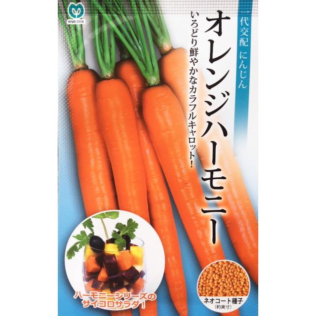 オレンジハーモニー 人参種子 生種300粒【カラフルキャロット】【直売