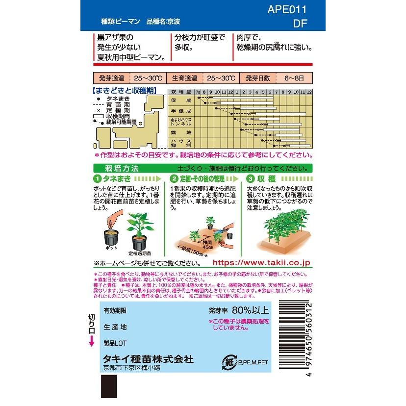 京波ピーマン　1000粒　【ピーマン種】【タキイのタネ】【野菜の種】_1