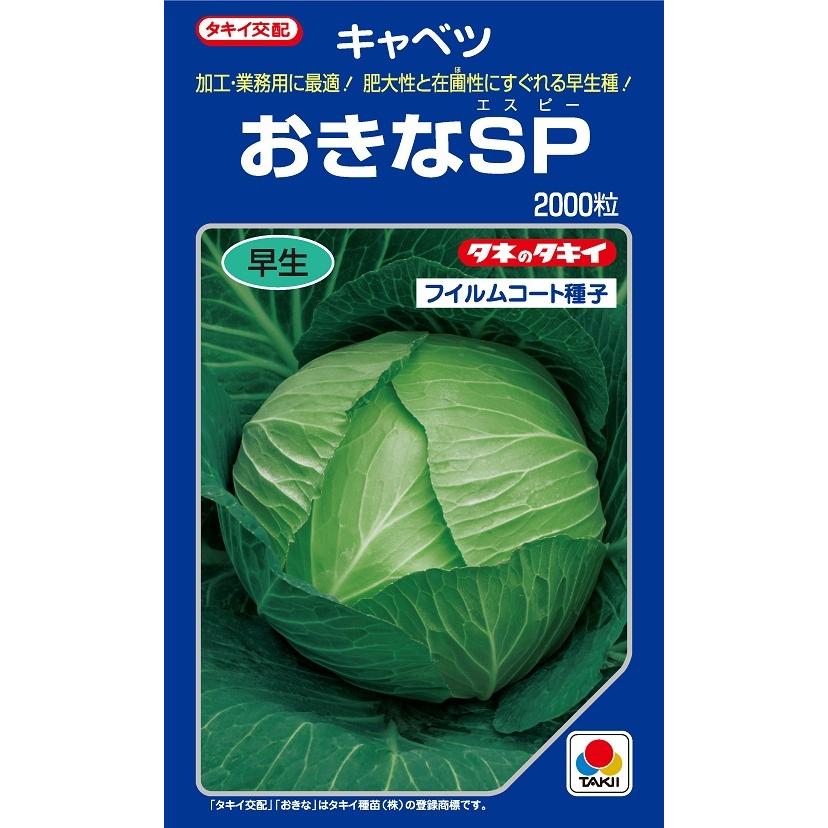 キャベツ・おきなSP L5000粒 早生種 【野菜種子】 【タキイ種苗