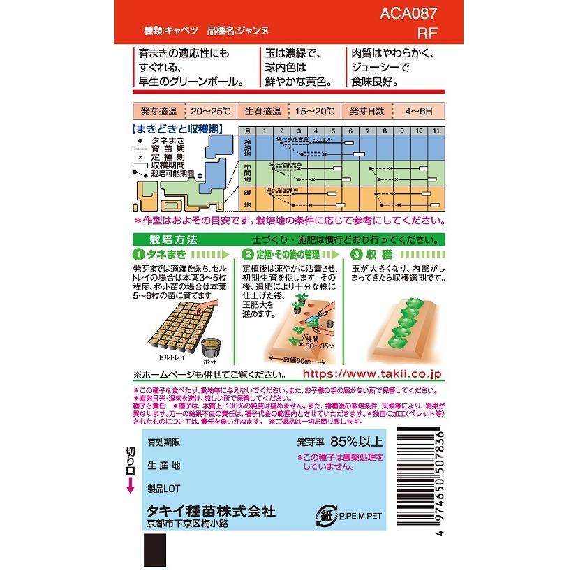 ジャンヌ キャベツ種子 L5000粒【タキイ種苗】の画像