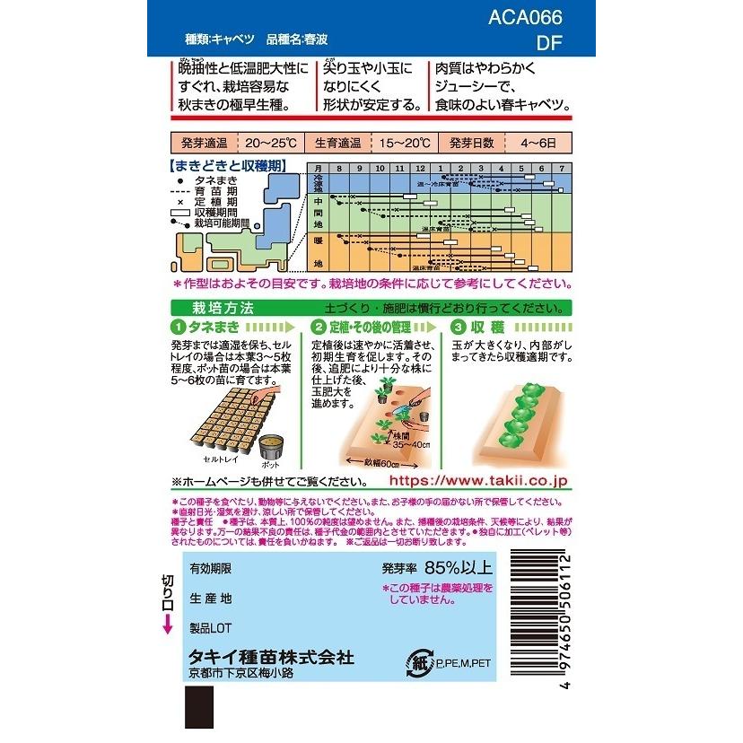 キャベツ種子 春波 L5000粒【タキイ種苗】【極早生キャベツ】の画像