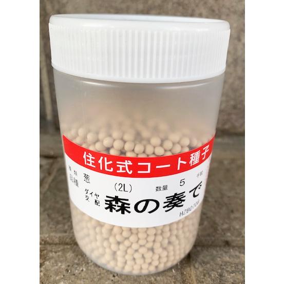ネギ種子　森の奏で　5,000粒 森の奏で(ｺｰﾄ5000粒): 種