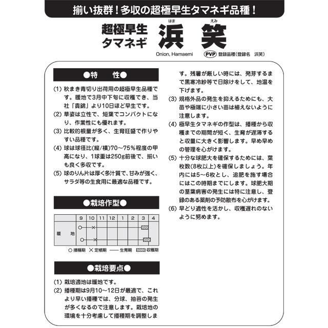 浜笑 玉ねぎ種子 20ml 極早生種 カネコ種苗【野菜種子】農林水産省