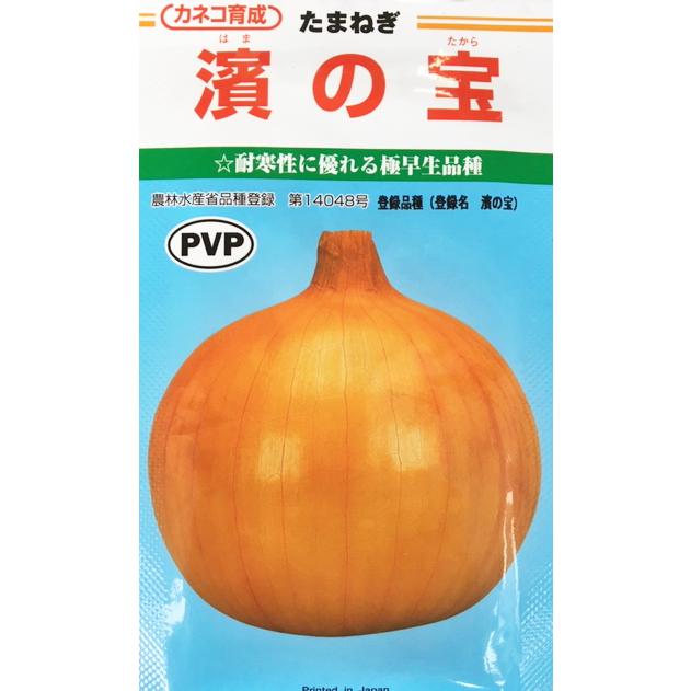 濱の宝 玉ねぎ種子 20ml 極早生種 カネコ種苗【野菜種子】農林