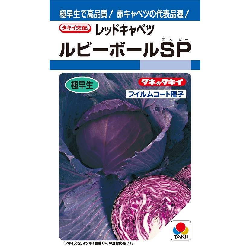 ルビーボールSP 赤キャベツ種子 130粒 極早生種【タキイ種苗】 : 吉谷