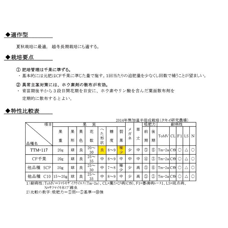 サマー千果（TTM-117） ミニトマト種子 100粒(当店小分け)【タキイ
