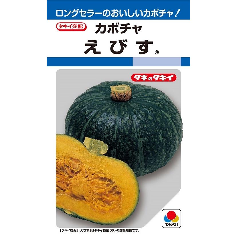 非売品「本木菜々」 えびす 500粒 カボチャ種子 【南瓜の種】【タキイのタネ】【野菜の種