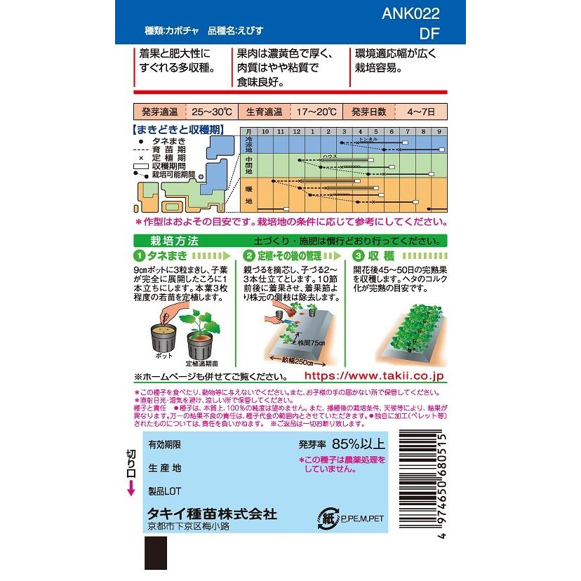 えびす 500粒 カボチャ種子 【南瓜の種】【タキイのタネ】【野菜の種